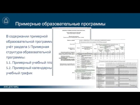 Примерные образовательные программы В содержании примерной образовательной программы учёт раздела