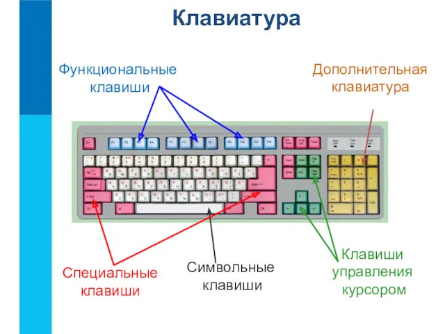 Функциональные клавиши Символьные клавиши Клавиши управления курсором Дополнительная клавиатура Специальные клавиши Клавиатура