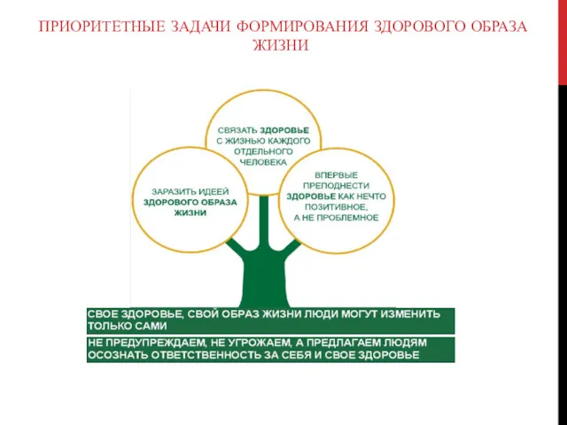 ПРИОРИТЕТНЫЕ ЗАДАЧИ ФОРМИРОВАНИЯ ЗДОРОВОГО ОБРАЗА ЖИЗНИ