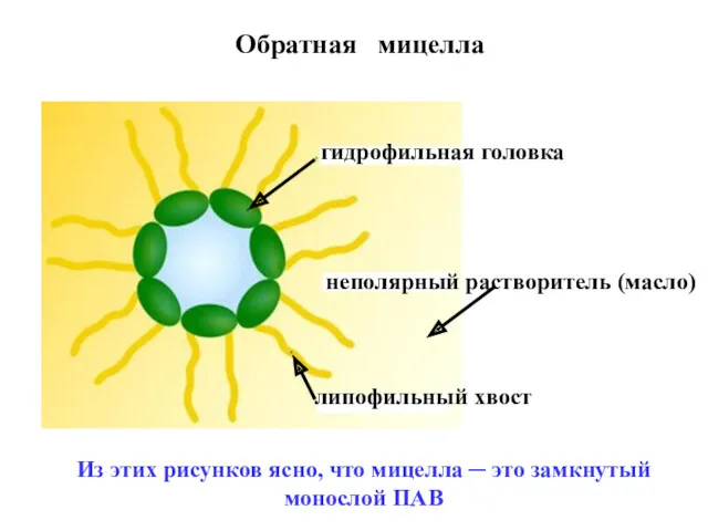 Обратная мицелла гидрофильная головка липофильный хвост неполярный растворитель (масло) Из