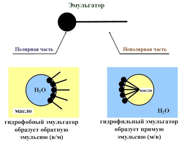 масло масло гидрофобный эмульгатор образует обратную эмульсию (в/м) гидрофильный эмульгатор образует прямую эмульсию (м/в)