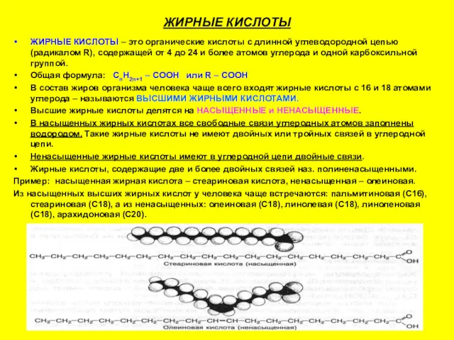 ЖИРНЫЕ КИСЛОТЫ ЖИРНЫЕ КИСЛОТЫ – это органические кислоты с длинной