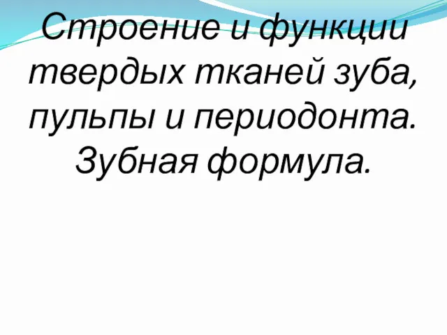 Строение и функции твердых тканей зуба, пульпы и периодонта. Зубная формула.