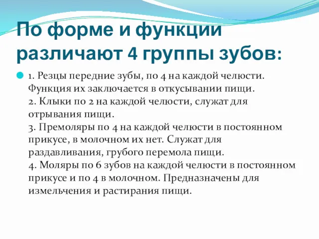 По форме и функции различают 4 группы зубов: 1. Резцы