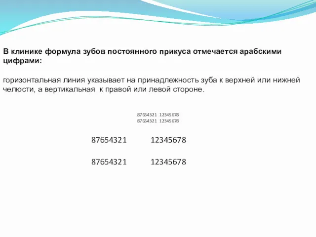 В клинике формула зубов постоянного прикуса отмечается арабскими цифрами: горизонтальная