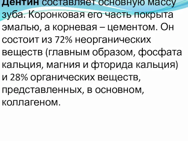 Дентин составляет основную массу зуба. Коронковая его часть покрыта эмалью,