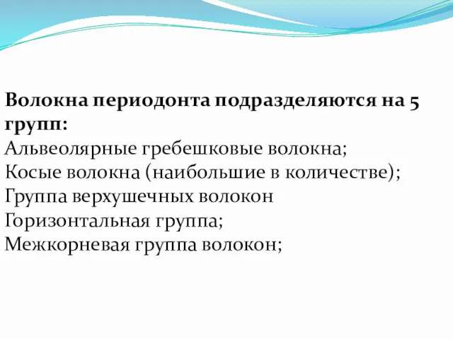 Волокна периодонта подразделяются на 5 групп: Альвеолярные гребешковые волокна; Косые