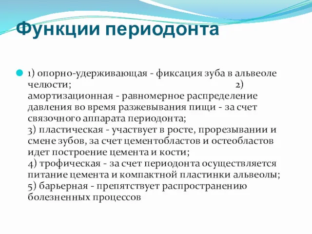 Функции периодонта 1) опорно-удерживающая - фиксация зуба в альвеоле челюсти;