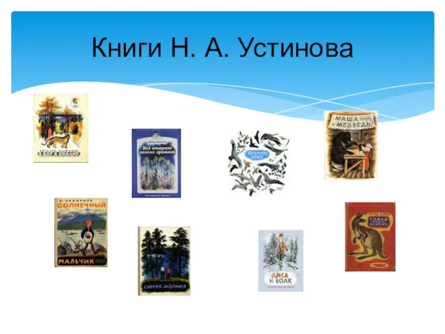 Книги Н. А. Устинова