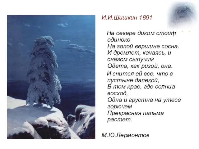 И.И.Шишкин 1891 На севере диком стоит одиноко На голой вершине сосна. И дремлет,