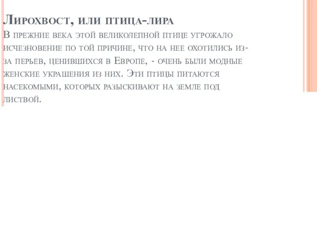 Лирохвост, или птица-лира В прежние века этой великолепной птице угрожало