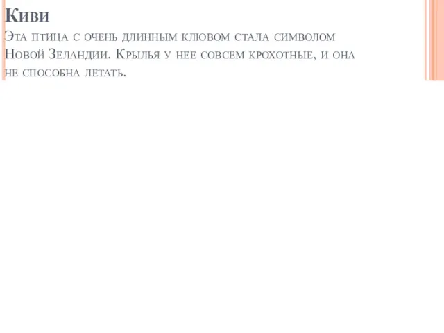 Киви Эта птица с очень длинным клювом стала символом Новой