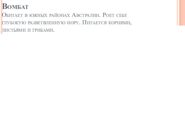 Вомбат Обитает в южных районах Австралии. Роет себе глубокую разветвленную нору. Питается корнями, листьями и грибами.