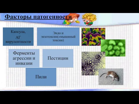 Факторы патогенности