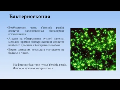 Бактериоскопия Возбудителем чумы (Yersinia pestis) является палочковидная биполярная коккобацилла. Анализ на обнаружение чумной