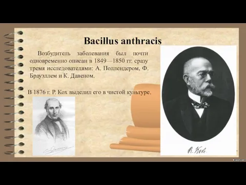 Возбудитель заболевания был почти одновременно описан в 1849—1850 гг. сразу тремя исследователями: А.