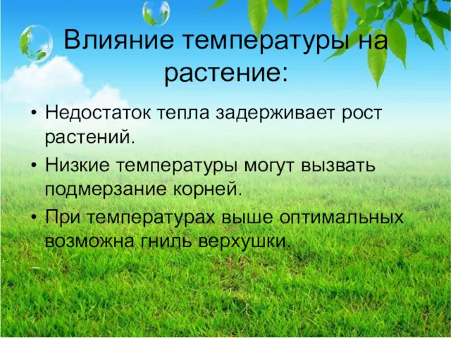 Влияние температуры на растение: Недостаток тепла задерживает рост растений. Низкие