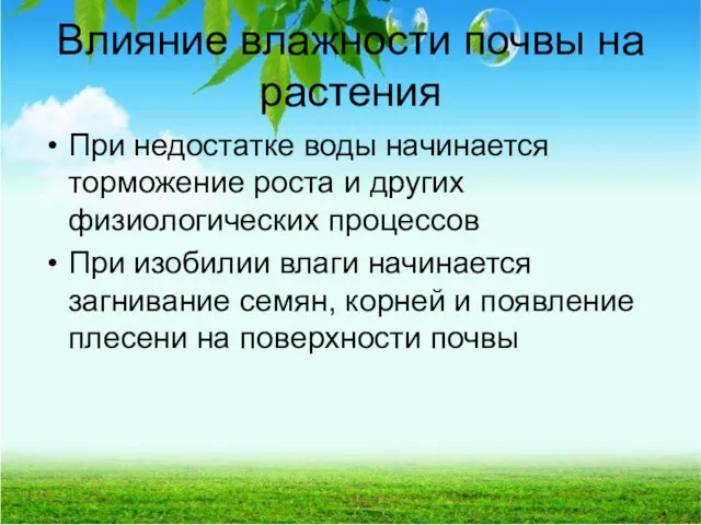 Влияние влажности почвы на растения При недостатке воды начинается торможение