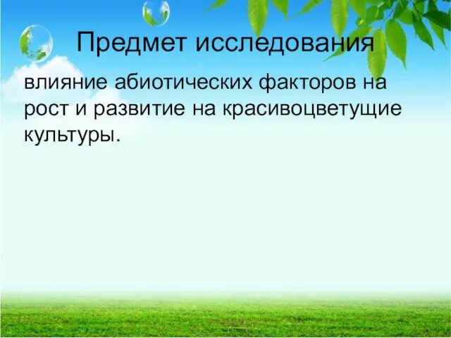 Предмет исследования влияние абиотических факторов на рост и развитие на красивоцветущие культуры.