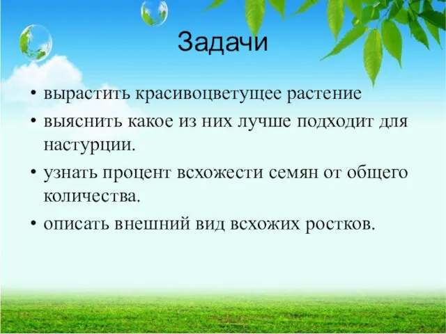 Задачи вырастить красивоцветущее растение выяснить какое из них лучше подходит