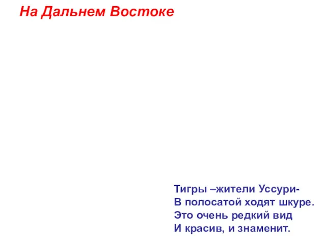 На Дальнем Востоке Тигры –жители Уссури- В полосатой ходят шкуре.