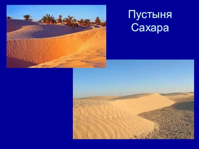 Пустыня Сахара