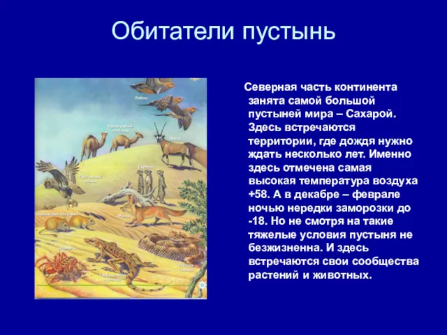 Обитатели пустынь Северная часть континента занята самой большой пустыней мира