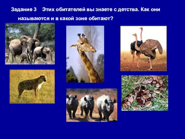 Задание 3 Этих обитателей вы знаете с детства. Как они называются и в какой зоне обитают?