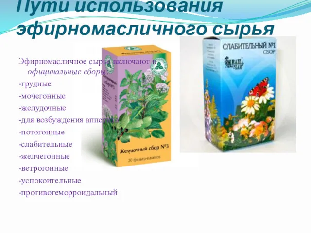 Пути использования эфирномасличного сырья Эфирномасличное сырье включают в официнальные сборы: