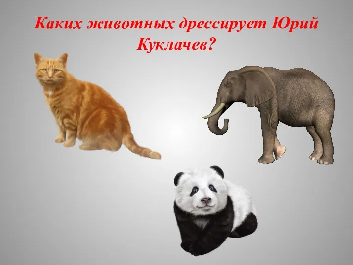 Каких животных дрессирует Юрий Куклачев?