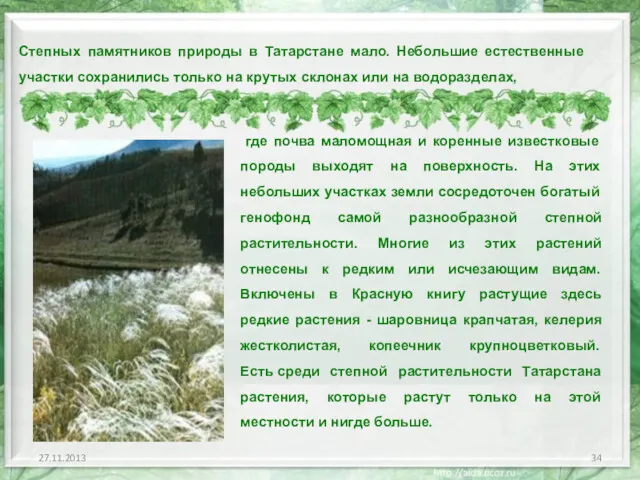 Степных памятников природы в Татарстане мало. Небольшие естественные участки сохранились