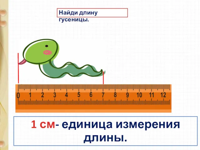 1 см- единица измерения длины. Найди длину гусеницы.