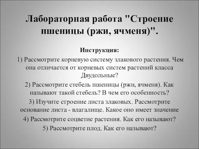 Лабораторная работа "Строение пшеницы (ржи, ячменя)". Инструкция: 1) Рассмотрите корневую