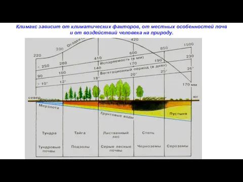 Климакс зависит от климатических факторов, от местных особенностей почв и от воздействий человека на природу.