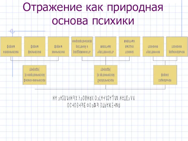 Отражение как природная основа психики