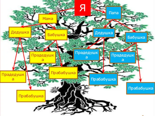 Я Мама Папа Бабушка Дедушка Дедушка Бабушка Прадедушка Прабабушка Прадедушка Прабабушка Прадедушка Прабабушка Прадедушка Прабабушка