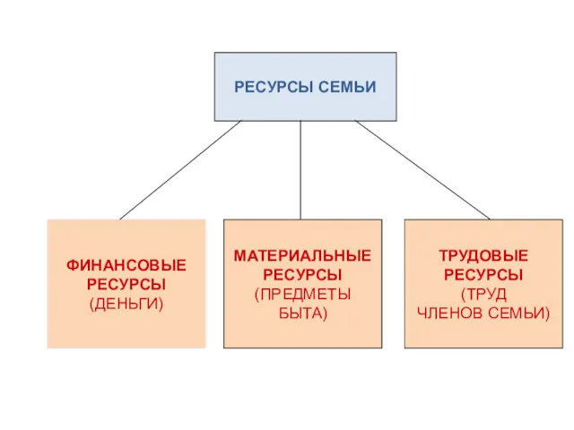 РЕСУРСЫ СЕМЬИ ФИНАНСОВЫЕ РЕСУРСЫ (ДЕНЬГИ) МАТЕРИАЛЬНЫЕ РЕСУРСЫ (ПРЕДМЕТЫ БЫТА) ТРУДОВЫЕ РЕСУРСЫ (ТРУД ЧЛЕНОВ СЕМЬИ)