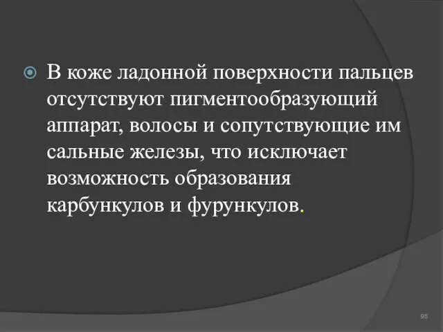 В коже ладонной поверхности пальцев отсутствуют пигментообразующий аппарат, волосы и