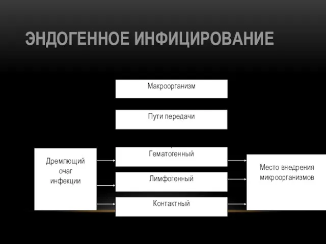 ЭНДОГЕННОЕ ИНФИЦИРОВАНИЕ