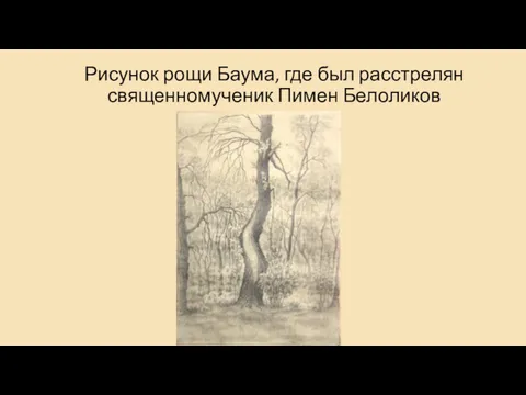 Рисунок рощи Баума, где был расстрелян священномученик Пимен Белоликов