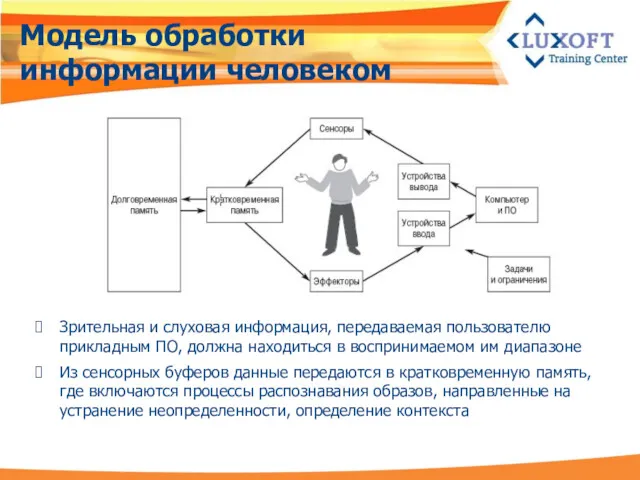 Модель обработки информации человеком Зрительная и слуховая информация, передаваемая пользователю