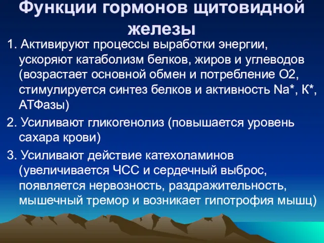 Функции гормонов щитовидной железы 1. Активируют процессы выработки энергии, ускоряют