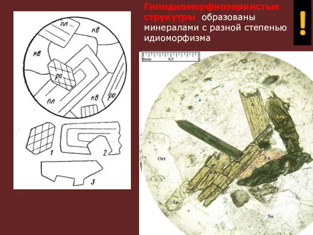 Гипидиоморфнозернистые струкутры образованы минералами с разной степенью идиоморфизма !