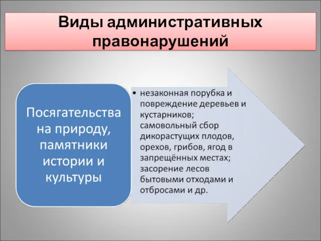 Виды административных правонарушений