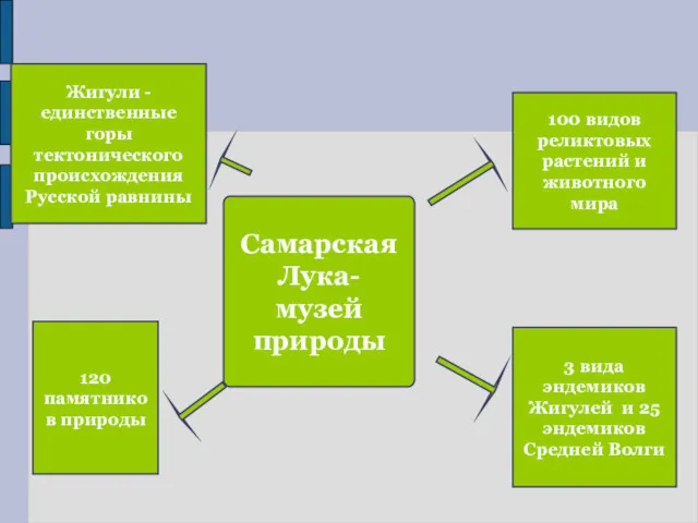 Самарская Лука- музей природы 100 видов реликтовых растений и животного