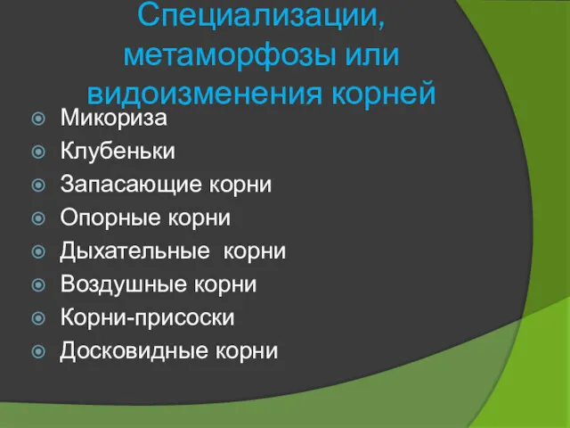 Специализации, метаморфозы или видоизменения корней Микориза Клубеньки Запасающие корни Опорные