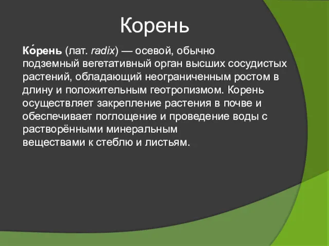 Корень Ко́рень (лат. radix) — осевой, обычно подземный вегетативный орган