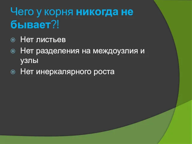 Чего у корня никогда не бывает?! Нет листьев Нет разделения