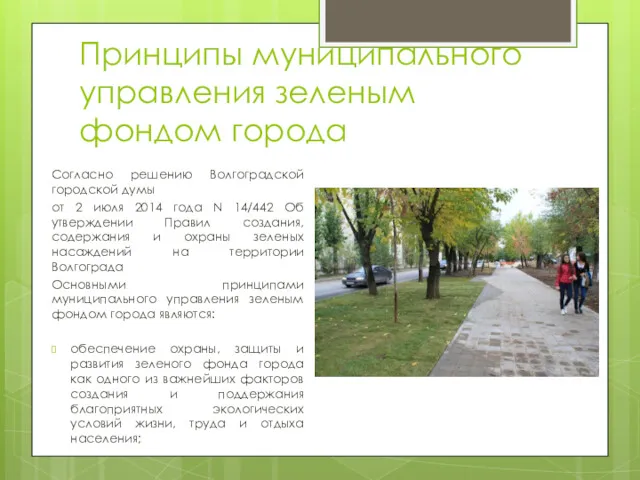 Принципы муниципального управления зеленым фондом города Согласно решению Волгоградской городской думы от 2