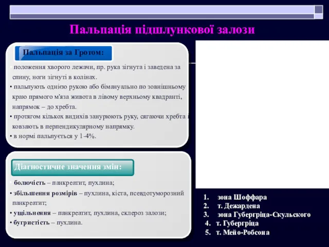 Пальпація підшлункової залози зона Шоффара т. Дежардена зона Губергріца-Скульского 4.